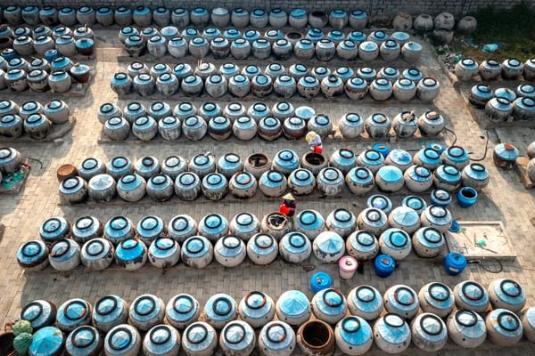 The Barrels That Never Stir: Inside Southeast Asia's Summer Fish Sauce Season