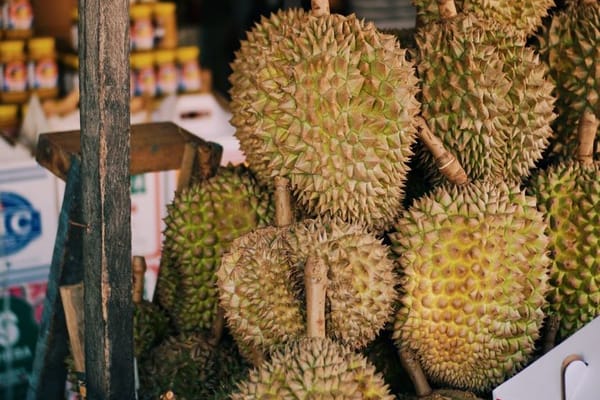 The Durian Clock: How Monsoon Rain Sets the Rhythm of a Continent's Fruit Season