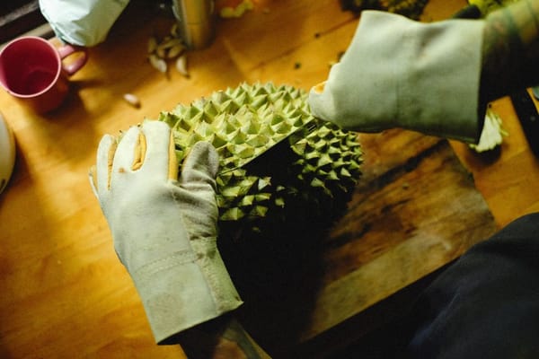 Durian season peaks in August, and Musang King prices are climbing again