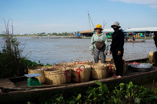Prahok: The Fermented Fish Paste That Kept Cambodia Fed