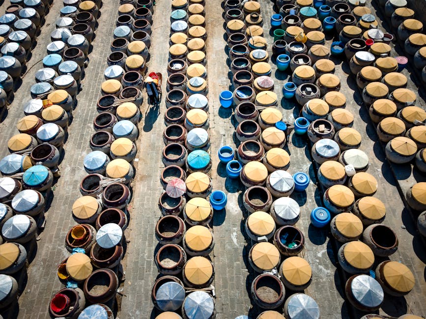 Fermentation in Asian Cooking: The Invisible Technique